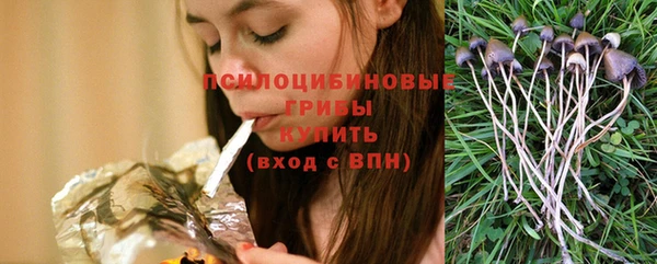 2c-b Козловка